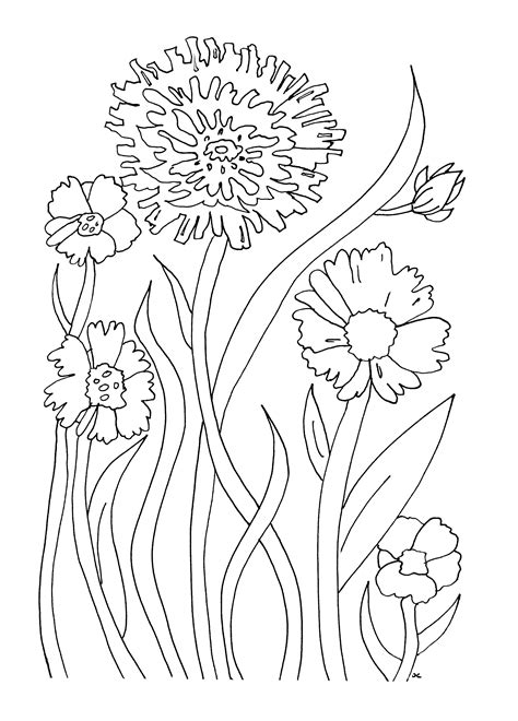 Free Free Printable Coloring Pages Of Flowers For Kids Download Free