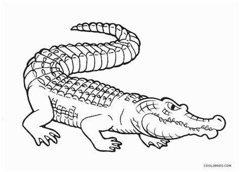 Free Printable Alligator Coloring Pages For Kids Cool2bkids