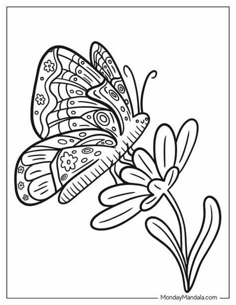 Free Printable Butterfly Coloring Page Ausdruckbare Ausmalseite