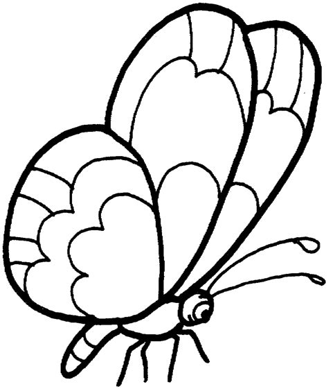 Free Printable Butterfly Coloring Pages For Kids Nbkomputer