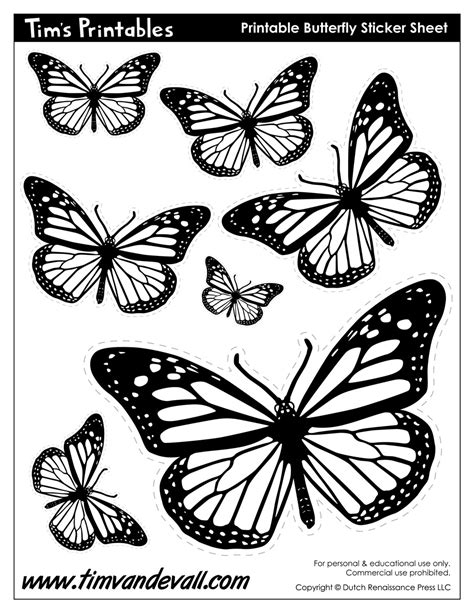 5 Free Butterfly Stencils to Color and Print