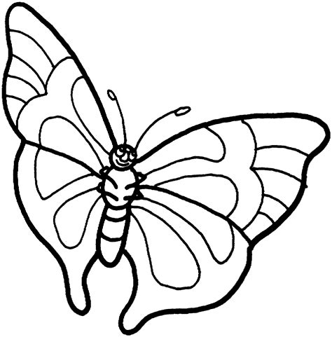 5 Free Printable Coloring Butterflies to Print Now