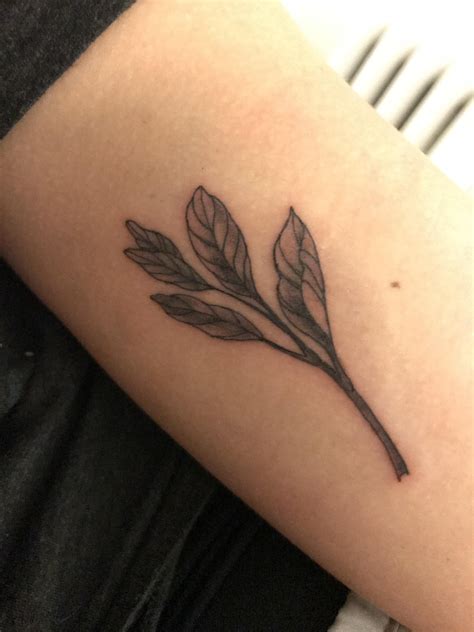 Fresh Sprig Of Sage My First Tattoo As Of A Few Hours Ago And I