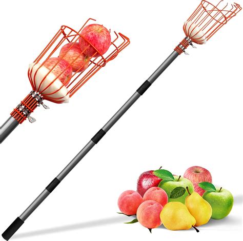 5 Essential Tools for Fruit Pickers