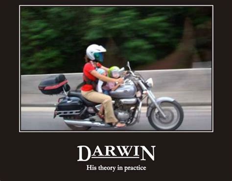 Gallery Darwin Awards