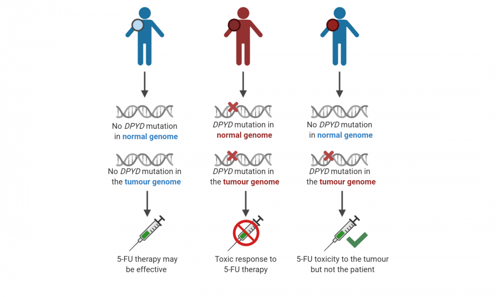 Genome Sequencing Helps Prioritize Cancer Treatment Options Genome