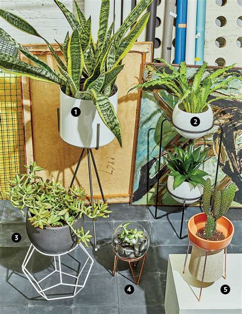 Geometric Plant Stands To Elevate Your Indoor Garden Chicago Magazine