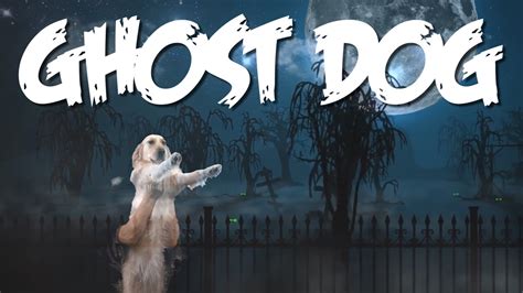 Ghost Dog Youtube