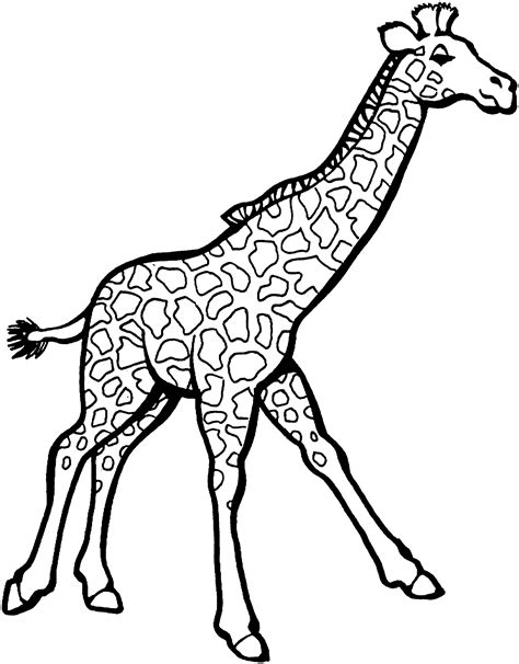 Giraffes Coloring Pages Printable For Free Download