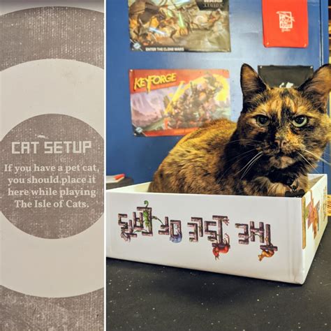 Got The Board Game The Isle Of Cats Today R Gaming