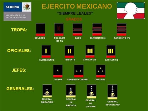 Grados Ej Rcito Y Fuerza A Rea Mexicana Fuerzas Armadas De Mexico Ejercito Mexicano Rangos