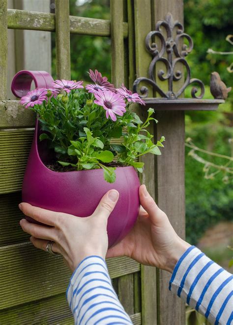 Great Gardening Ideas With Wilko Growing Family