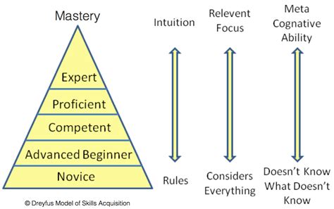 Guide Your Path To Mastering Skills Spine Model Documentation And Wiki