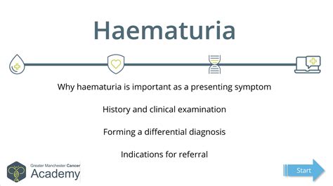 Haematuria Module 1 Presentations And Basic Investigations Greater Manchester Cancer Academy