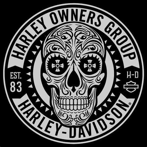 Harley Davidson Owners Group Skull Logo Vector Patch Sticker Badge