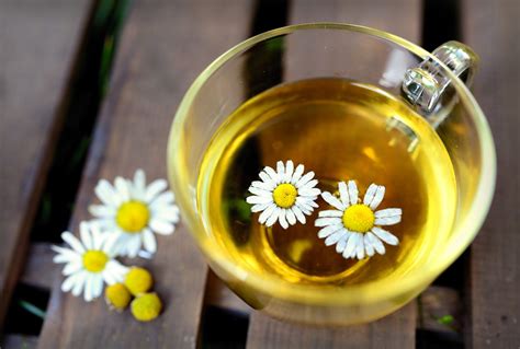 Health Benefits Of Chamomile Tea Ang Pinoy