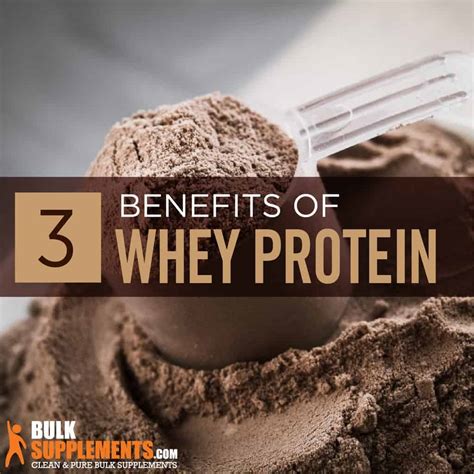 Health Benefits Of Whey Protein Isolate Visual Ly What Is Whey