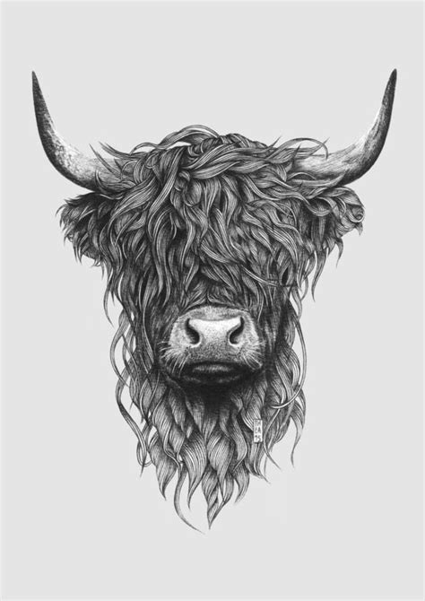 Highland Cow Tattoo Highland Cow Art Cow Art