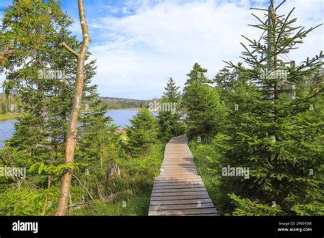 Hiking Around The Oderteich Dam In Harz Mountains Germany Stock Photo