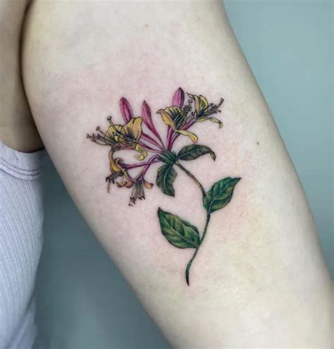 Honey Suckle Rose Tattoo June Birth Month Flower Honeysuckle Tattoo