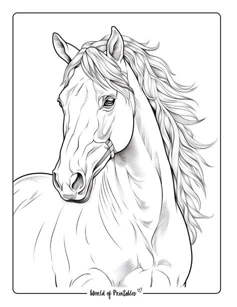 Horse Coloring Pages