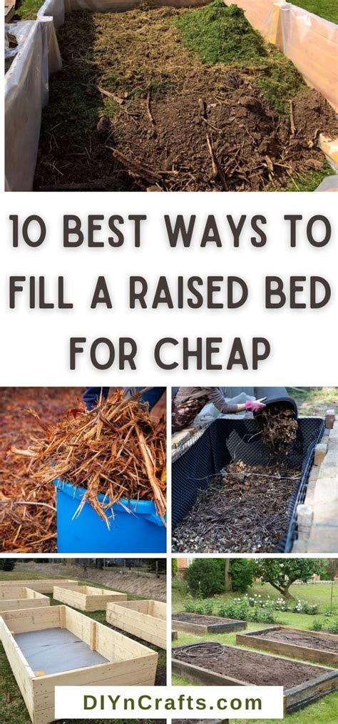 How High Do I Fill My Raised Garden Bed At Ryan Jones Blog