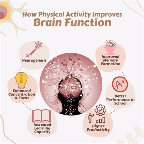 How Physical Activity Improves Brain Function Goget Fit