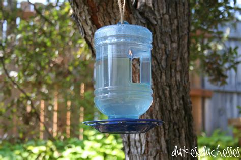 How To Attract Birds To Your Yard Dukes And Duchesses