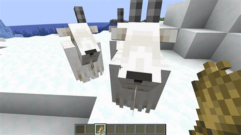 How To Breed Goats In Minecraft 1 19