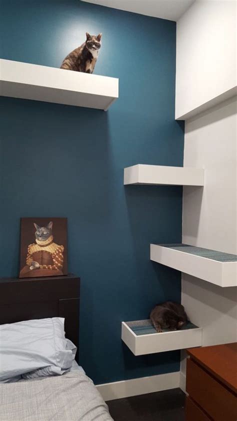 How To Build Cat Shelves