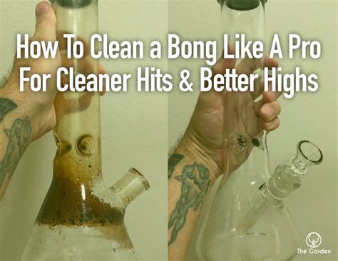 How To Clean A Bong Like A Pro For Cleaner Hits Better Highs