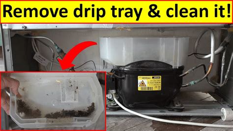 How To Clean Your Fridge Freezer Drip Tray Youtube