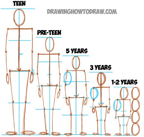 How To Draw Bodies Proportions Male Famale Poses Easy Drawing Tutorial For Beginners