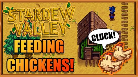 How To Feed Chickens In Stardew Valley