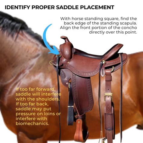 How To Fit A Western Saddle 9 Steps With Pictures Artofit