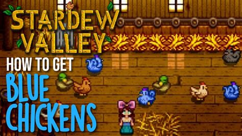 How To Get Blue Chickens In Stardew Valley A Step By Step Guide Hold