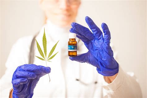 How To Identify High Quality Cbd Oil Ministry Of Hemp