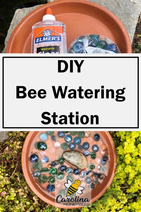 How To Make A Bee Waterer For Honeybees And Other Pollinators