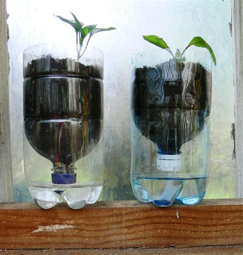 How To Make A Self Watering Pot Out Of An Old Plastic Bottle Self Watering Pots Pop Bottles