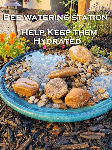 How To Make A Simple Bee Water Station For Your Garden Diy Water Station Diy Garden Diy