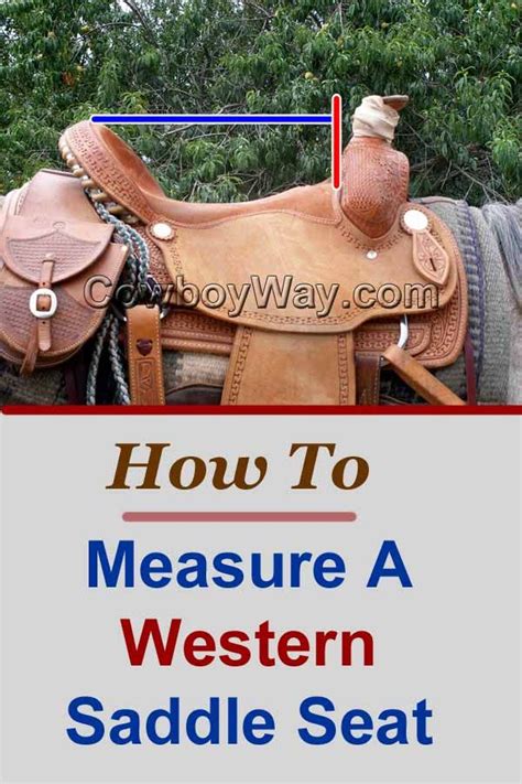 How To Measure A Western Saddle Seat 11 Easy Steps 2024