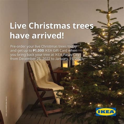 How To Order An Ikea Live Christmas Tree Details Price