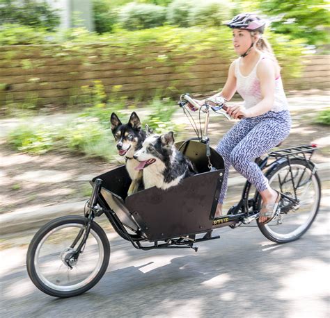 How To Ride A Bike For Adults Kids And Dogs Tips Videos