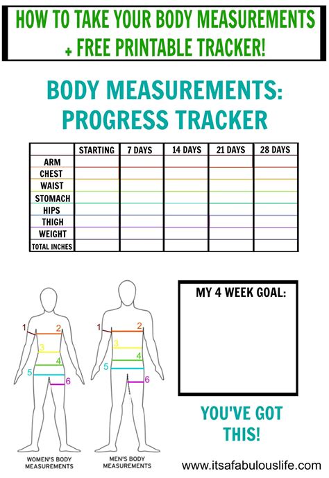 How To Take Your Body Measurements Free Printable Tracker Put A Pin