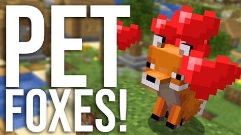 How To Tame A Fox In Minecraft All Versions Youtube