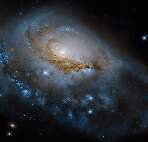 Hubble Telescope Shares Image Of Spiral Galaxy Ngc 1961 Located 180 Million Light Years Away