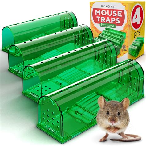 Catch and Release with Humane Mouse Traps