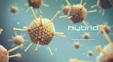 Hybrid 2020 Reel Hybrid Medical Animation