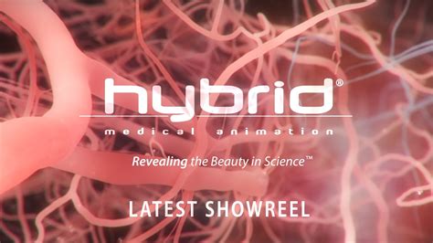 Hybrid Medical Animation Latest Showreel Youtube