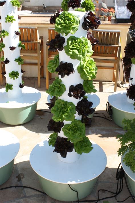 Hydroponic Tower Garden for Beginners